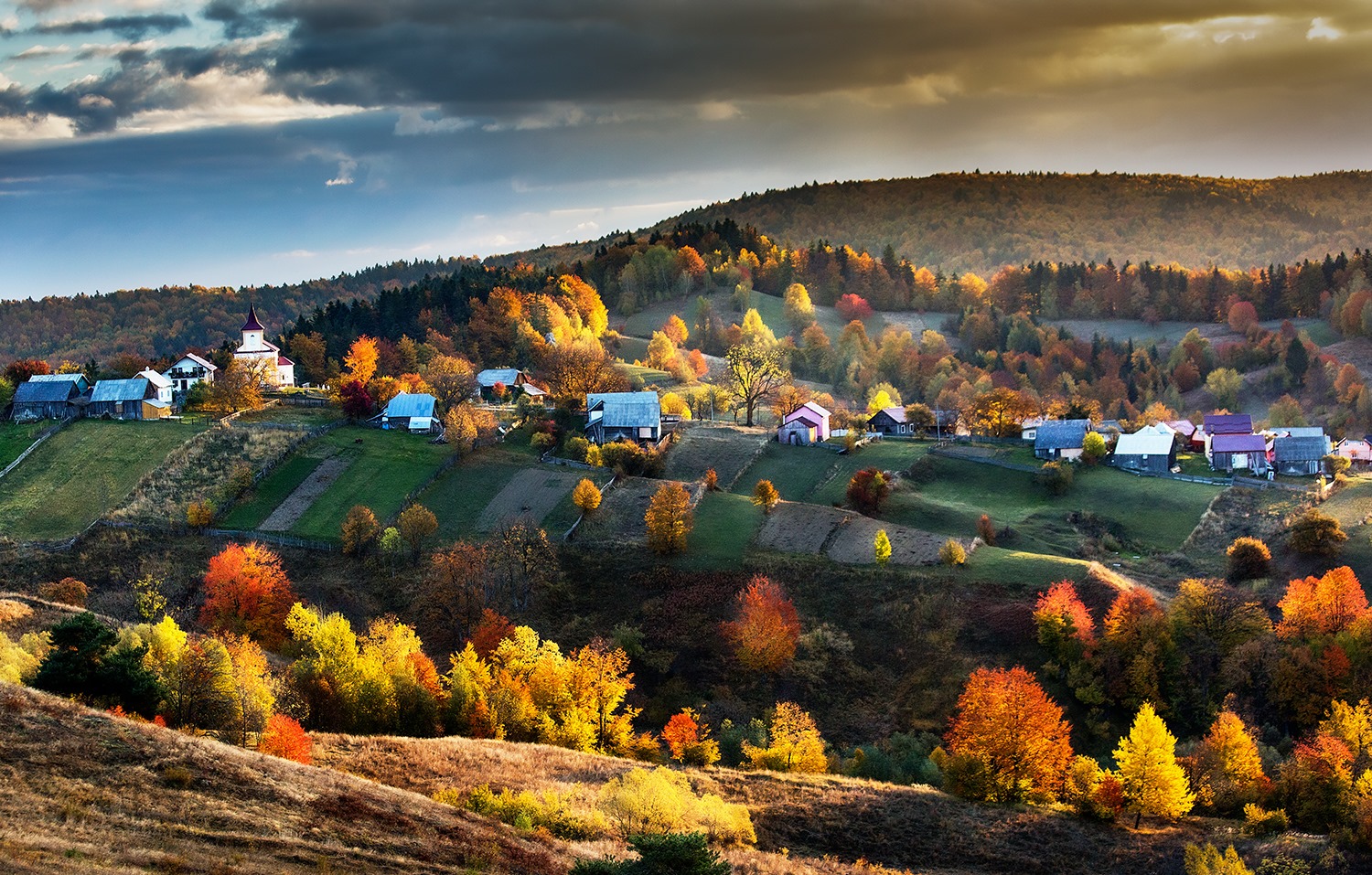 Tura foto - Sorin Onisor